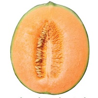 Melon Tube